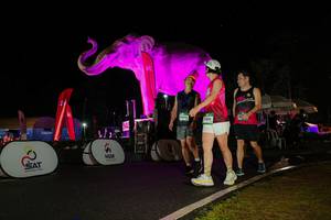 BIB: 
                            <button type="button" onclick="openModal(26543956)" class="btn btn-primary btn-sm float-right btn-popup" data-toggle="modal" data-target=".modal-high-quality">
                        <i class="fas fa-shopping-cart"></i> Add to Cart
                    </button>
                                            <button type="button" onclick="isThisMe(26543956, true)" class="btn btn-success btn-sm float-right btn-popup btn-isme hidden" data-toggle="tooltip" data-placement="bottom" title="นี่คือรูปของคุณใช่ไหม คลิกที่นี่เพื่อเอาเข้าอัลบั้ม">
                        <i class="fas fa-plus"></i> Add to album
                    </button>
                    <button type="button" onclick="isThisMe(26543956, false)" class="btn btn-warning btn-sm float-right btn-popup btn-isnotme hidden">
                        <i class="fas fa-ban"></i> Remove from album
                    </button>